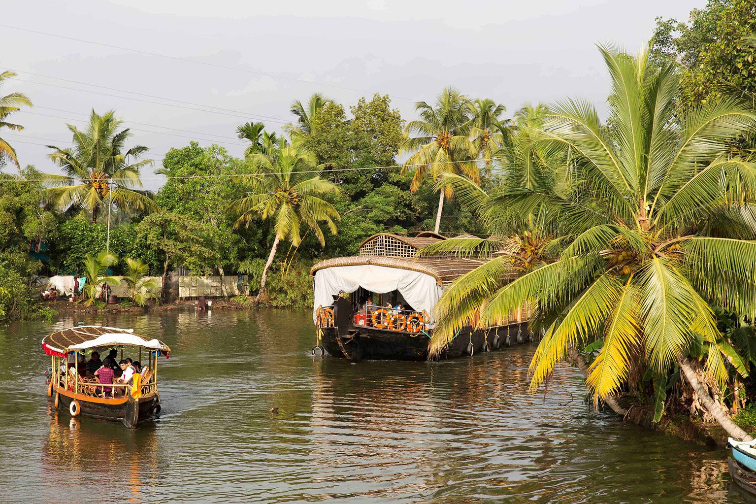 Photo voyage et animaux – backwaters kerala