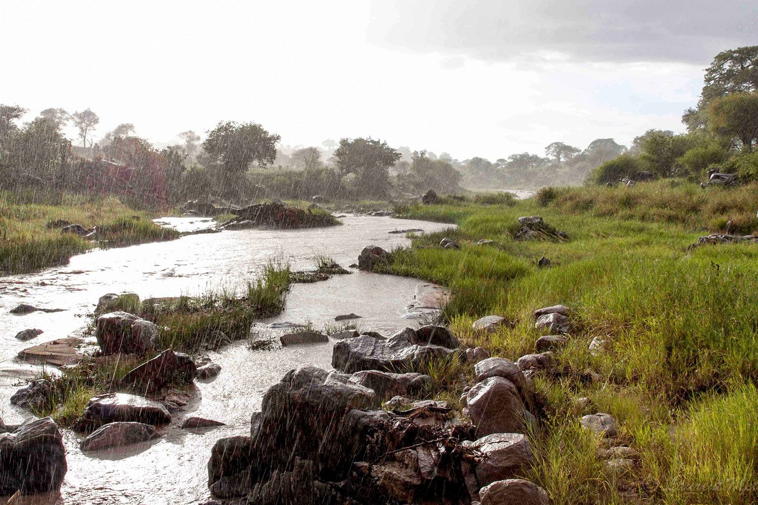 Photo voyage et animaux – riviere afrique
